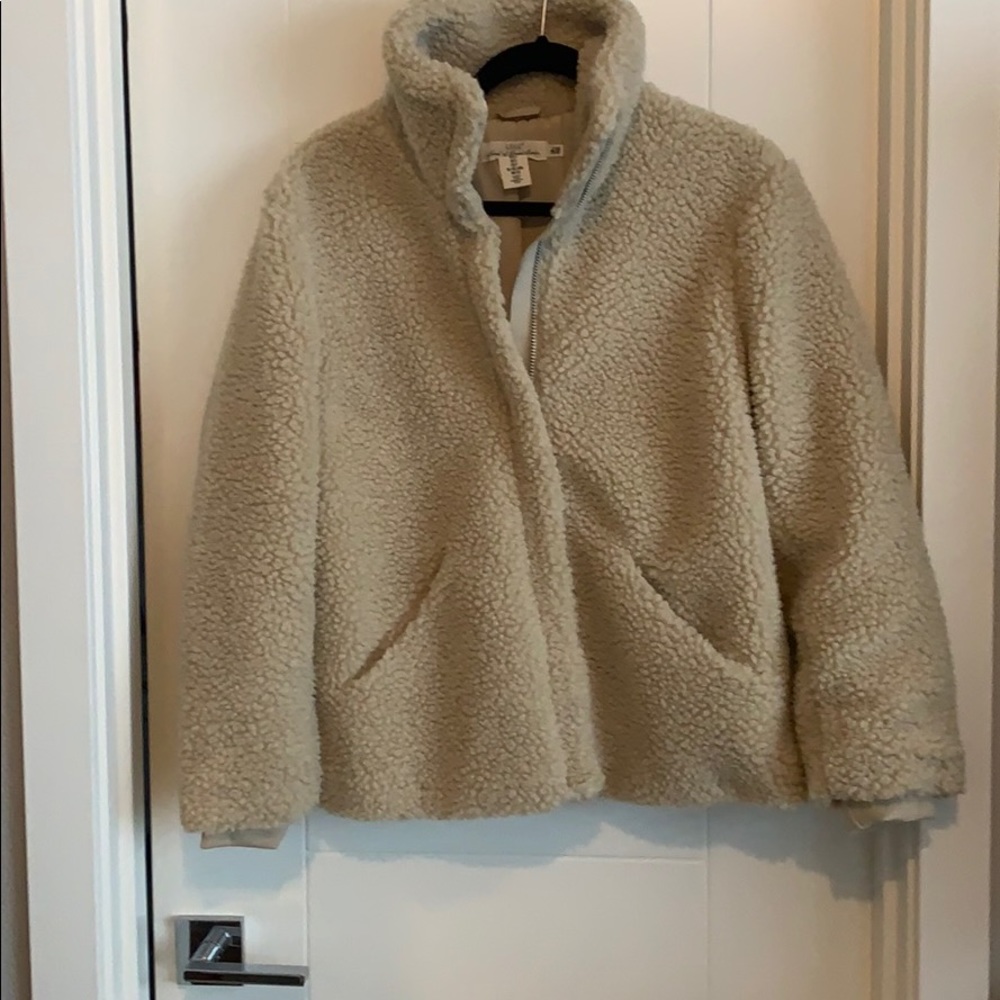 H&M teddy bear coat